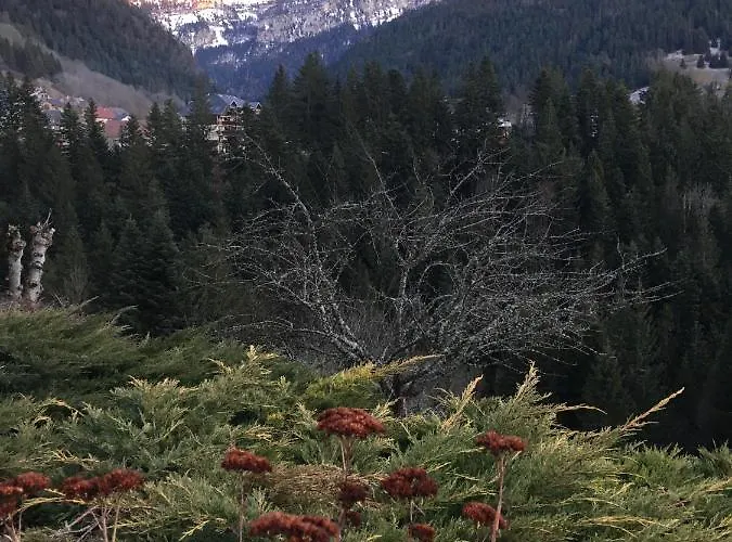 Hotel O Caprice Du Guiers